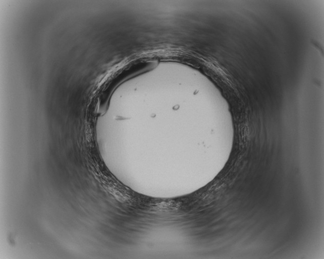 X0000100331160200806261255