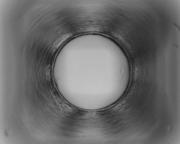 X0000100331162200806261255