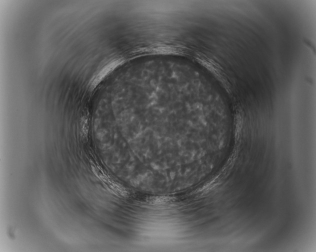 X0000100331163200806261255