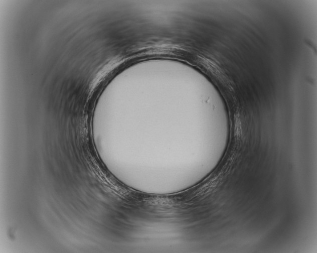 X0000100331164200806261255