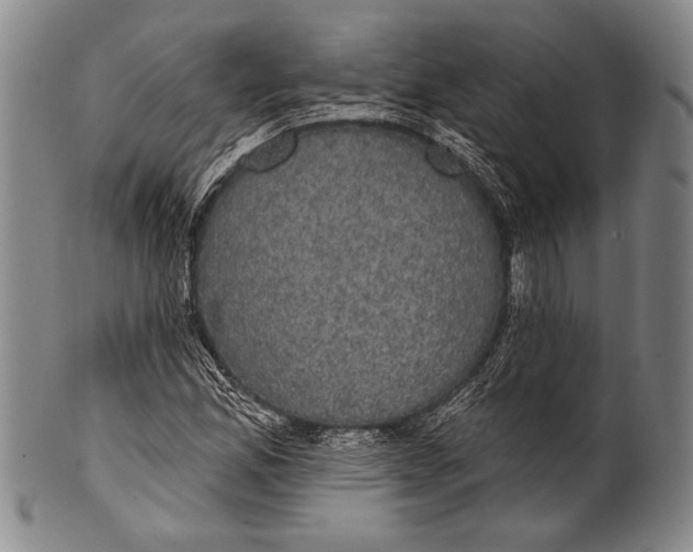 X0000100331165200806261255