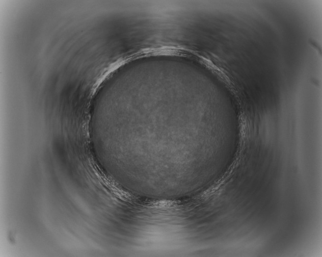 X0000100331166200806261254