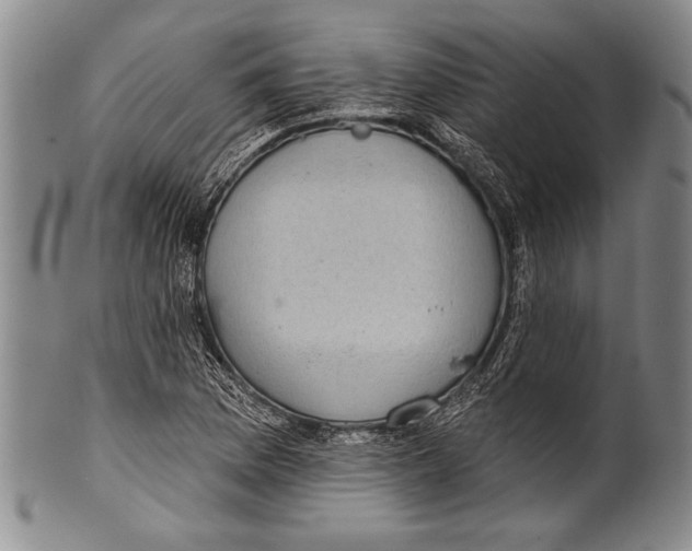 X0000100331169200806261254