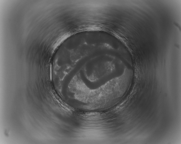 X0000100331171200806261254