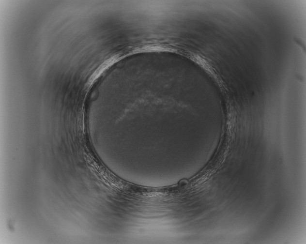 X0000100331173200806261254