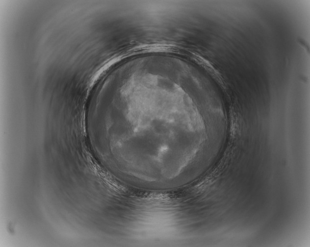 X0000100331174200806261254