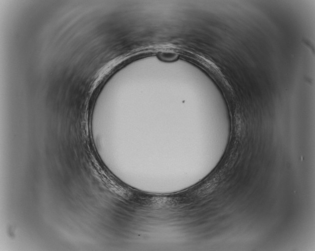 X0000100331176200806261254