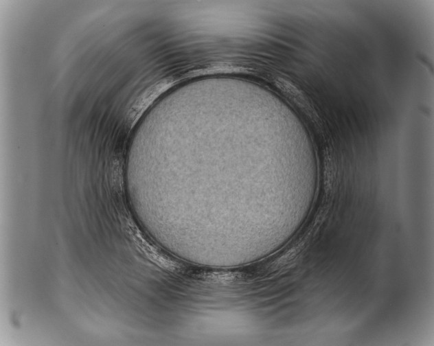 X0000100331177200806261254