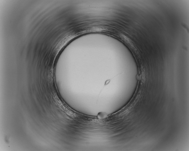 X0000100331178200806261254