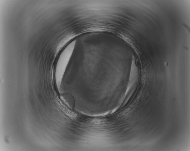 X0000100331179200806261254