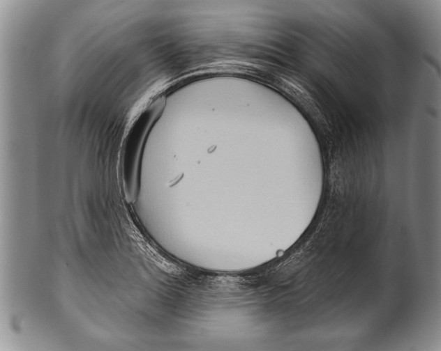 X0000100331180200806261254