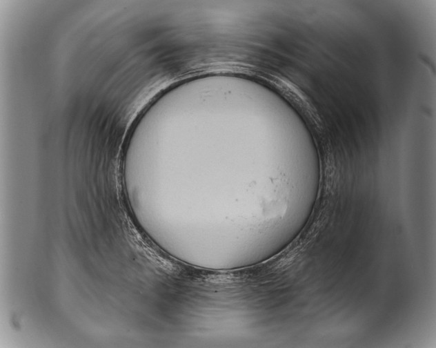 X0000100331182200806261254