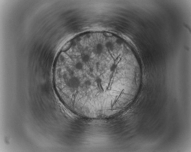 X0000100331183200806261254