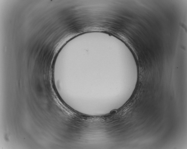 X0000100331187200806261254