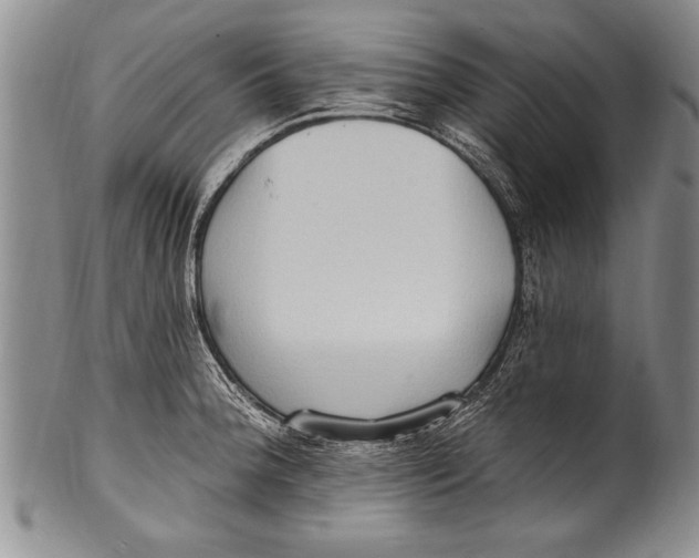 X0000100331188200806261254