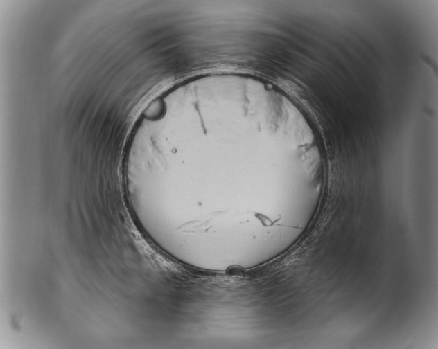 X0000100331189200806261254