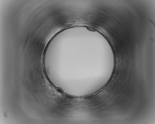 X0000100331190200806261254