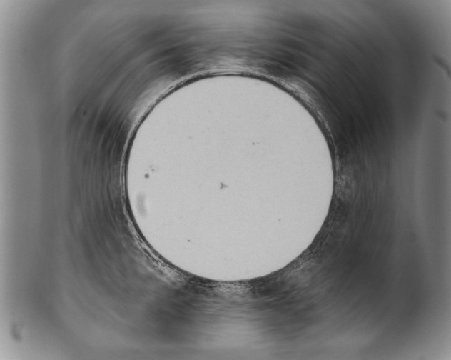 X0000100331191200806261254