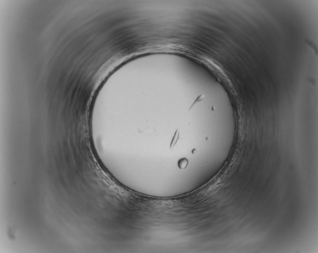 X0000100331192200806261254