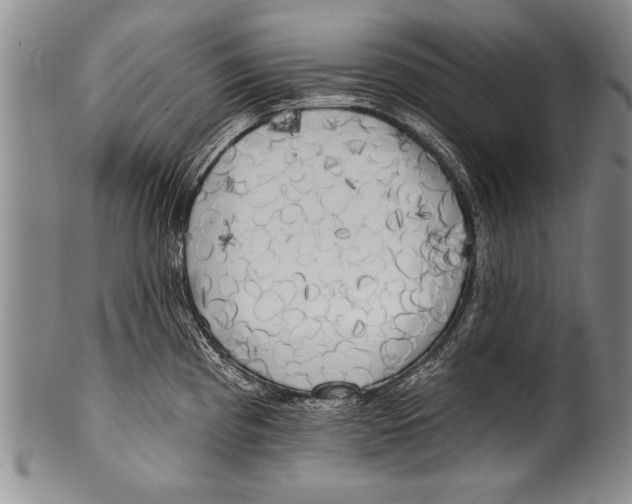 X0000100331193200806261254