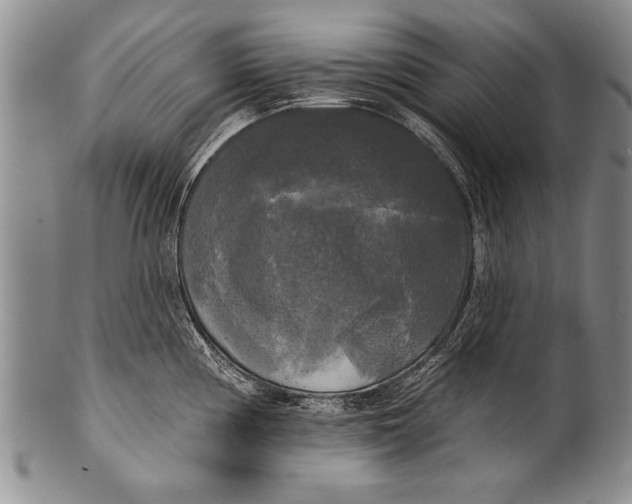 X0000100331194200806261254