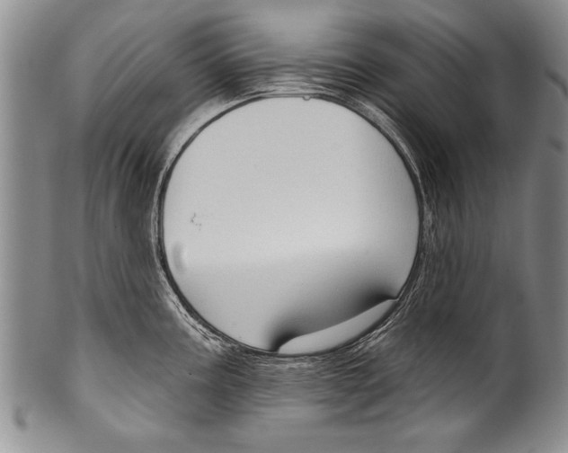 X0000100331195200806261254