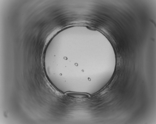 X0000100331196200806261254