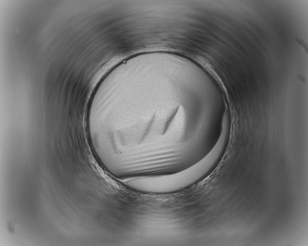 X0000100331197200806261254