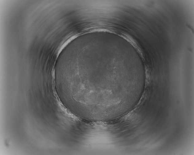 X0000100331198200806261254