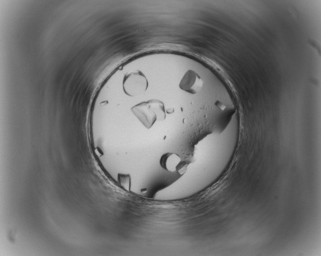 X0000100331199200806261254