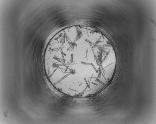 X0000100331200200806261254