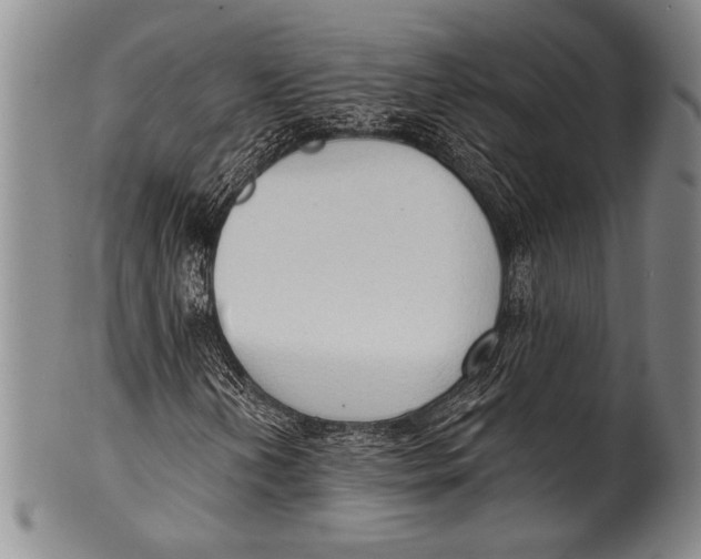 X0000100331202200806261253