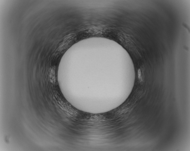 X0000100331203200806261253