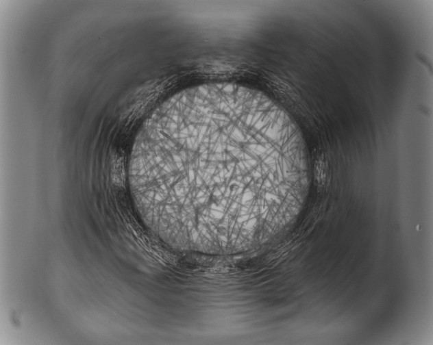 X0000100331204200806261253