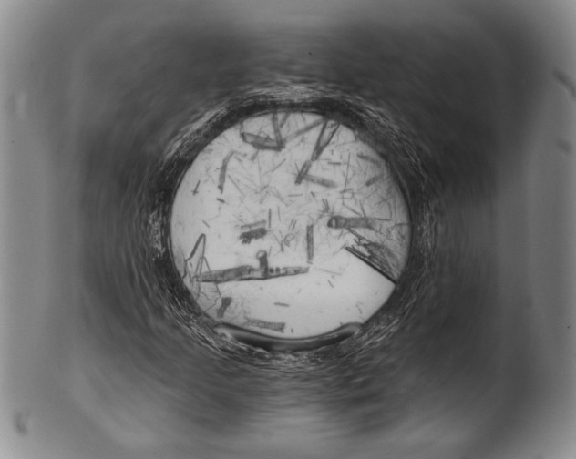 X0000100331205200806261253