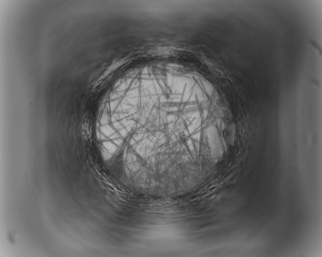 X0000100331206200806261253