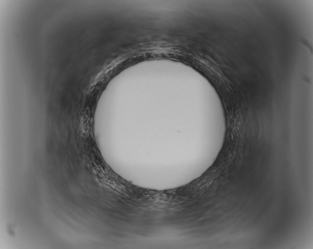 X0000100331207200806261253