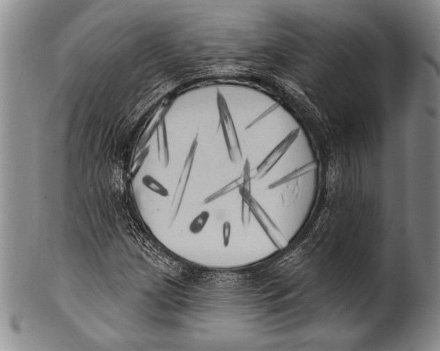 X0000100331209200806261253