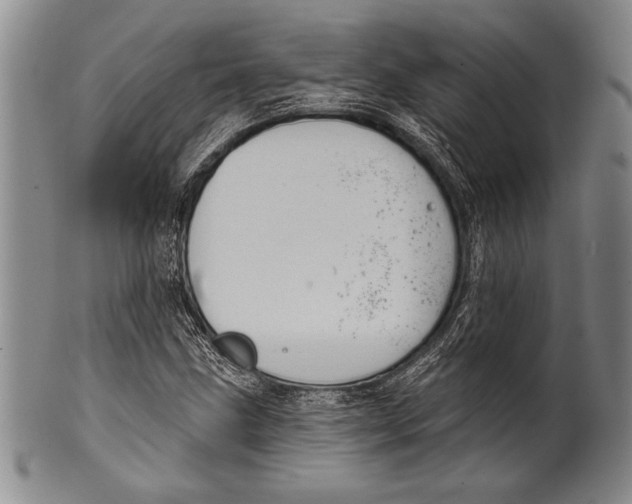 X0000100331211200806261253