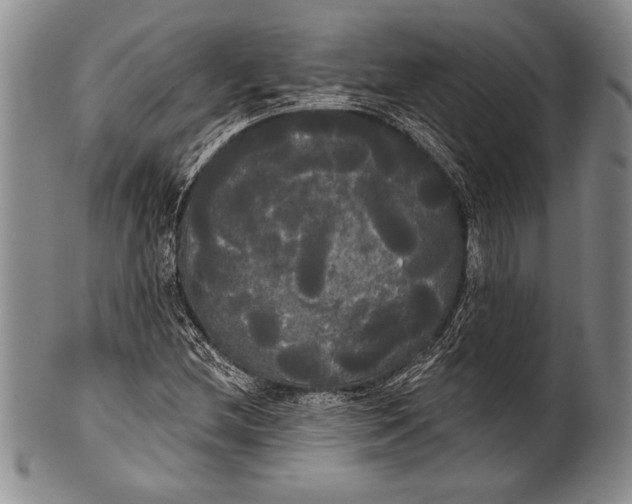 X0000100331212200806261253