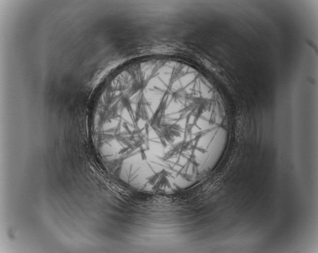 X0000100331214200806261253