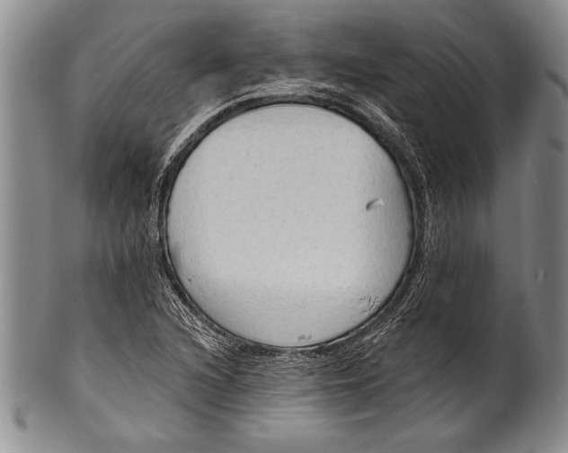 X0000100331216200806261253