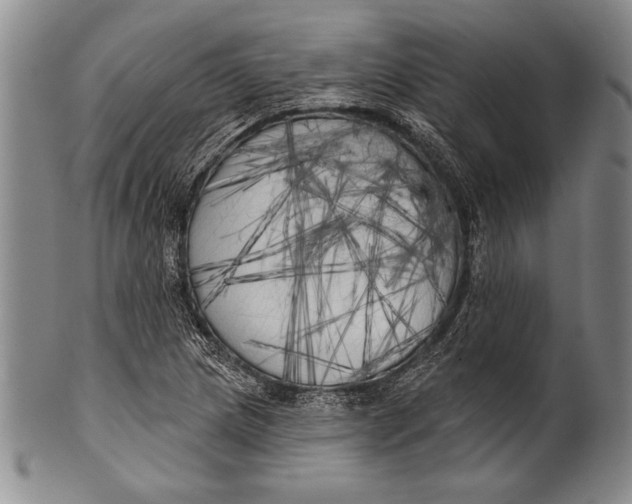 X0000100331217200806261253