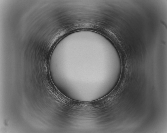 X0000100331218200806261253