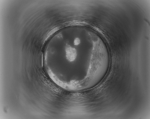 X0000100331219200806261253