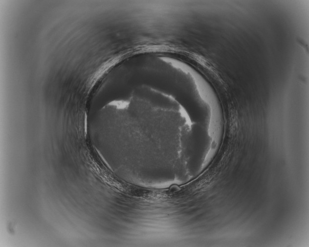 X0000100331221200806261253