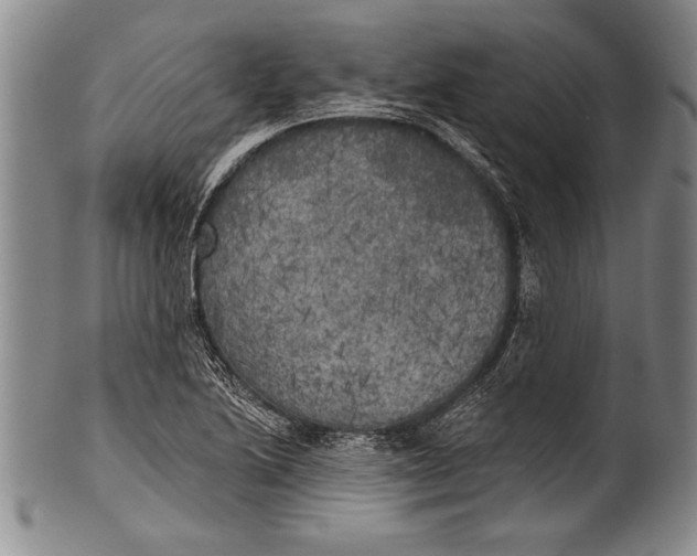 X0000100331222200806261253