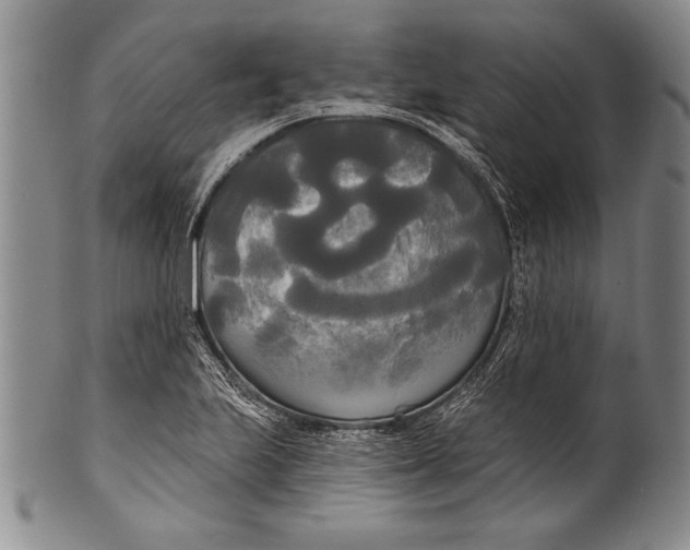 X0000100331223200806261253