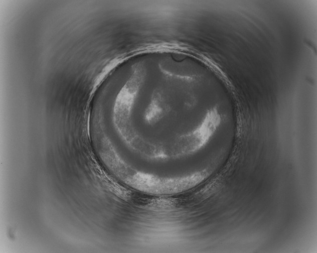 X0000100331224200806261253