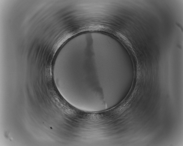 X0000100331226200806261254